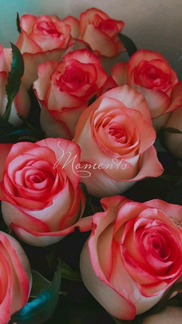 Lumin Ariv Ortex workshop space where corporate flower arrangements are designed and prepared for business delivery